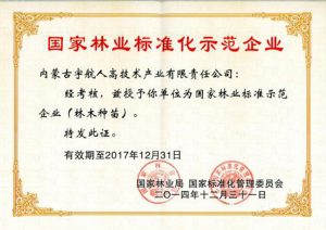 certificate-honor-role