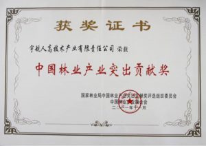 certificate-honor-success